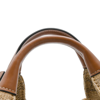 CELINE | Raffia Jacquard Mini Triomphe Cabas Tote Bag